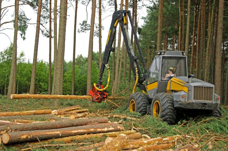 Acreage Clearing in Atlanta, GA