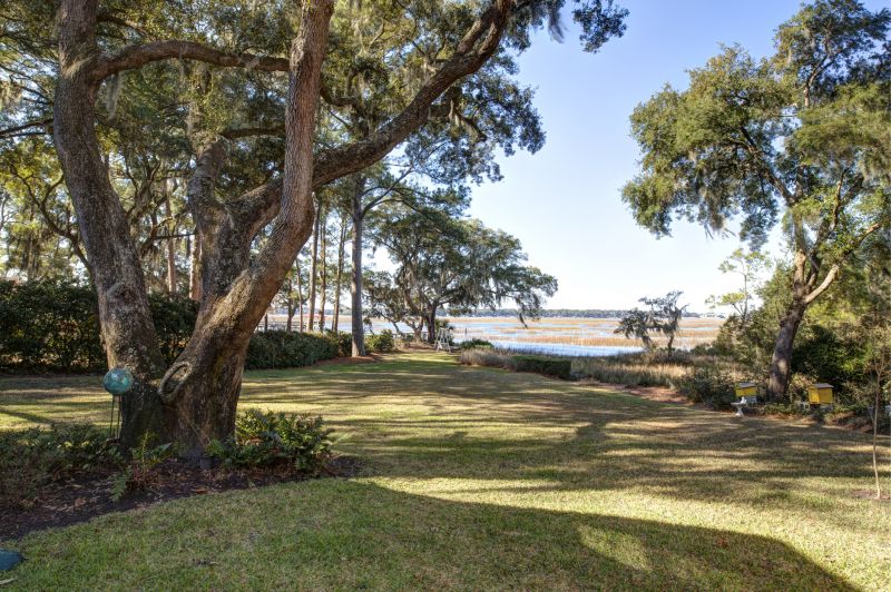 Bushes Clearing in Houston, TX