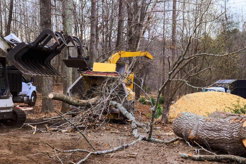 Forestry Mulching Service