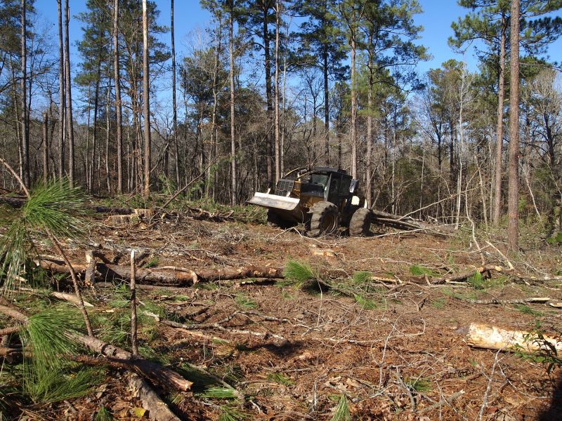 Forestry Mulching Service