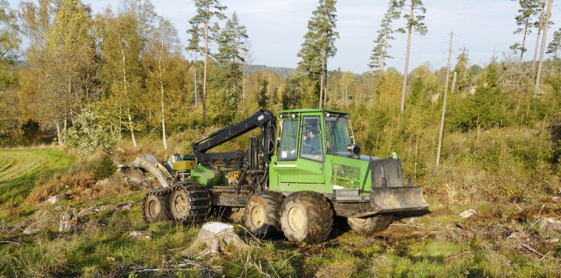 Forestry Mulching Service