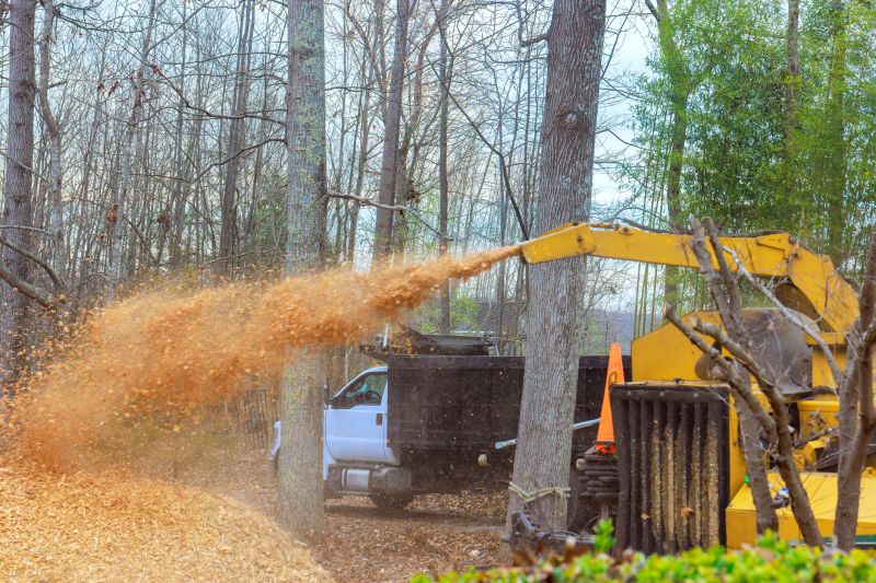 Forestry Mulching Service