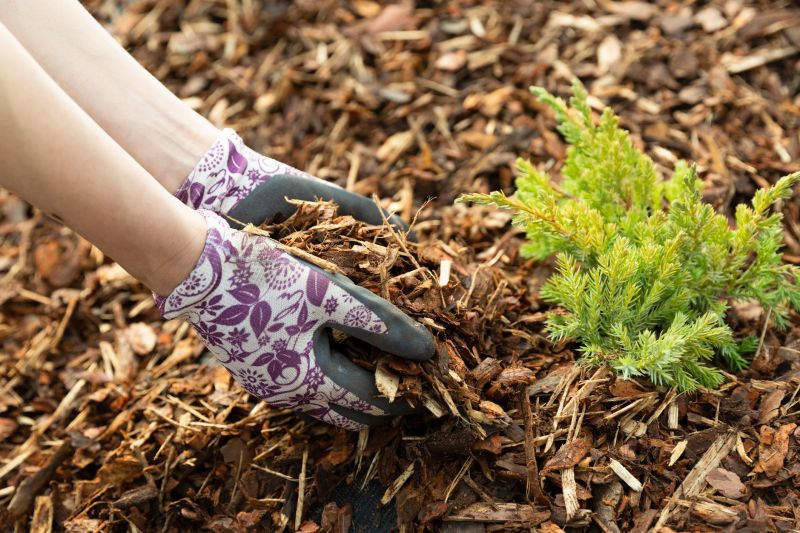 Vegetation Mulched into Ground Cover