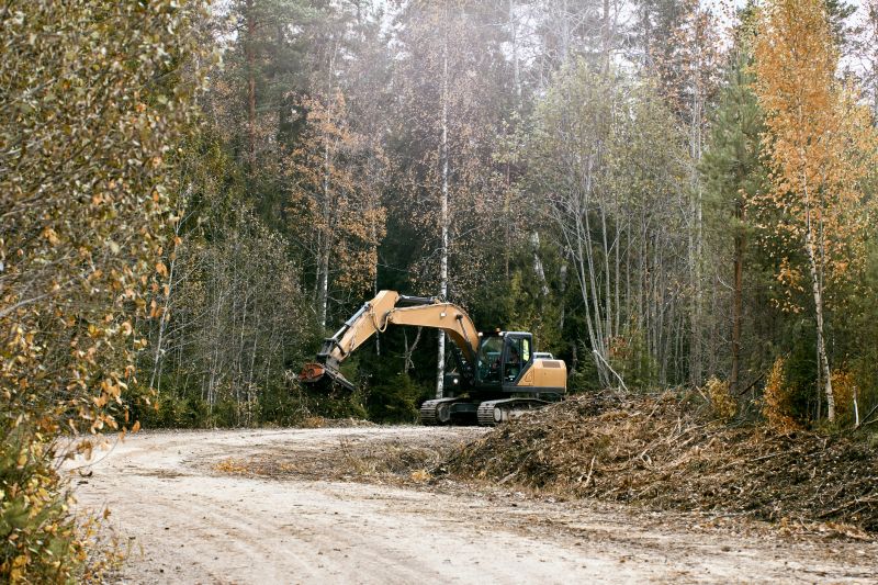 Forestry Mulching Service