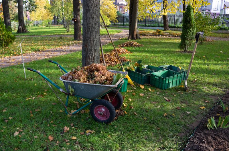 Forestry Mulching Service