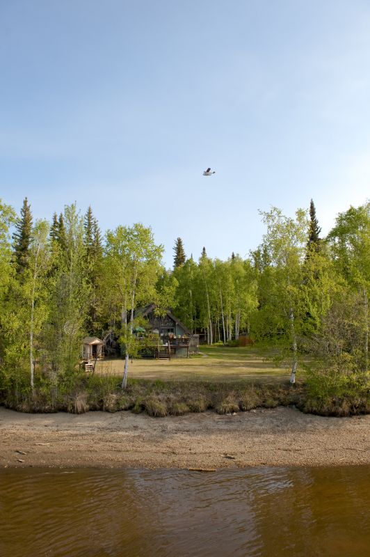 Land Clearing in Houston, TX