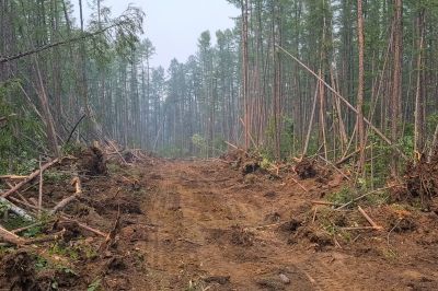 Parking Lot Site Preparation in Houston, TX