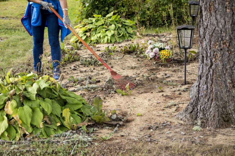 Pool Land Clearing in Gwinnett County, GA