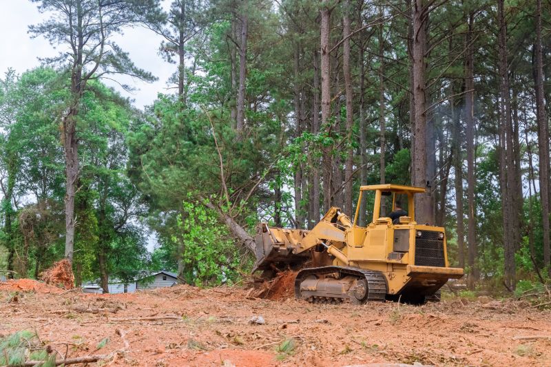 Site Clearing Service in Gwinnett County, GA