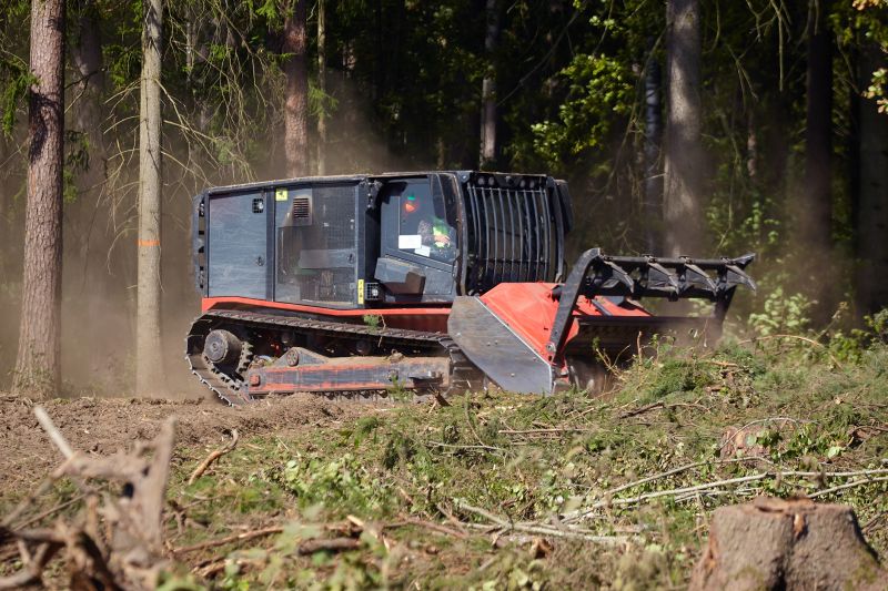 Professional Land Clearing Crew