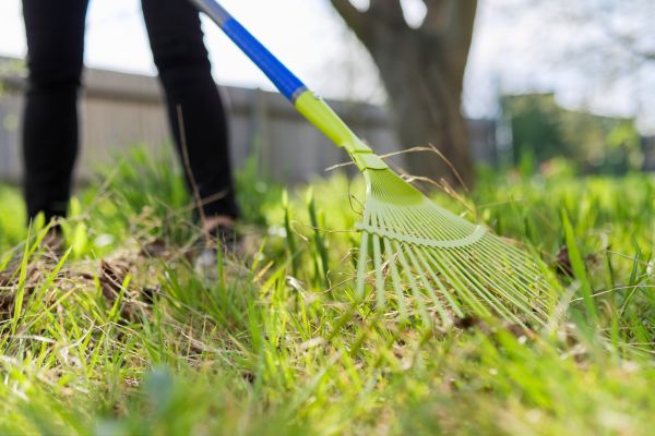 Green Space Cleaning Service